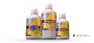 This is important during the racing season at higher temperatures and with difficult races! Belgica De Weerd Belgasol 1000 Ml