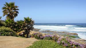 We also provide flower delivery to the surrounding areas, such as, cardiff by the sea, coronado, del mar, la jolla, rancho santa fe, san diego, solana beach. La Jolla Sehenswurdigkeiten Im Schonen Kustenstadtchen Bei San Diego