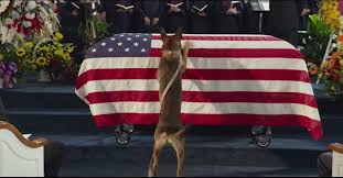 A Marine Died In Battle But What His Dog Did After The Funeral I M Speechless Military Dogs Military Working Dogs Service Dogs