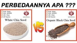 Perbedaan White Chia Seed Dan Black Chia Seed Kalian Pilih Mana Youtube