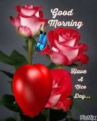 Best good morning flowers images. Good Morning Images Happyshappy