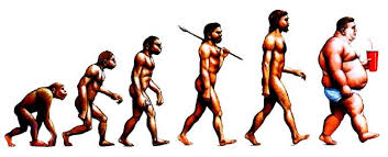 funny evolution images