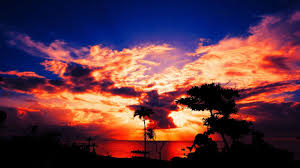 1920x1200 golden sunset hd wallpaper theme bin customization hd wallpapers. Aesthetic Sunset Desktop Wallpapers On Wallpaperdog