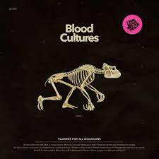 We did not find results for: Stream Flowers For All Occasions By Blood Cultures Listen Online For Free On Soundcloud