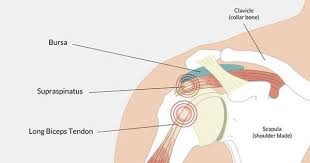 Pin On Exercise