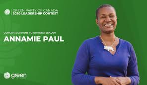 My husband and i were not so heated in our debate. Annamie Paul Elected New Green Party Leader Tbnewswatch Com