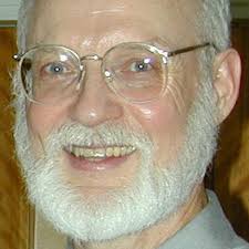 Opinion: The battle for Greenland: will the Danish David slay the Bully  Goliath?