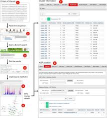 We always put you as our priority, we providing you the highest quality, safety assurance seabuckthorn nutrition and skincare products that scrupulously. Construction Of A Map Based Reference Genome Sequence For Barley Hordeum Vulgare L Abstract Europe Pmc