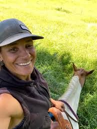 What are the equine accessibility programs in Maui?