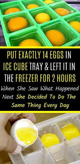 She Put Exactly 14 Eggs In Ice Cube Tray Left It In The Freezer For 2 Hours When She Saw What Happened Next She Decided To Do The S Ice