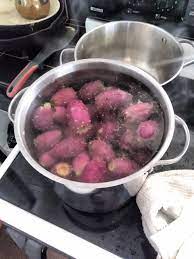 Dragon fruit is also known as the red piyata, thang loy, dragon pearl fruit, strawberry pear, cactus fruit, and, in the case of selenicereus, yellow pitaya. Prickly Pear Cactus Fruit Wine Making Album On Imgur