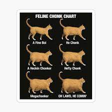 Feline Conk Chart, Funny Chonk Cat Meme Poster for Sale by gorillamerch |  Redbubble