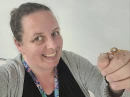 My stick insects that I got from Alison Casey made an appearance in my Year  8 Science class today. We have been talking about food chains and food webs  this week. At