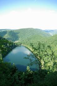 Vosges 7 Points De Vue A Couper Le Souffle France Montagnes Site Officiel Des Stations De Ski E Vacances Dans Les Vosges Vosges Tourisme Paysage Vosges