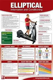 Elliptical Cardio Workout Professional Gym Wall Chart Poster