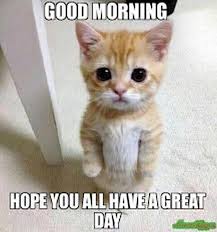 101 Have A Great Day Memes To Wish Someone Special A Good Day Cats Cute Cat Funny Animal Quotes