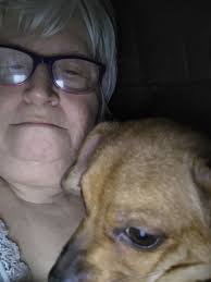 What's a chiuahuas temperment like I love them but are they yappy?can they  be trained not to bark as much ?