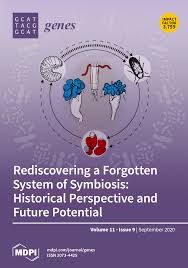 Don't pull out the credit card just yet we're not sure how you make a smoke detector camera with wifi unobtrusive when you have to plug it in manually. Genes September 2020 Browse Articles