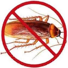 Manage your home's pest problems with pest control services from orkin. Cockroach Control Services à¤• à¤•à¤° à¤š à¤ª à¤¸ à¤Ÿ à¤• à¤Ÿ à¤° à¤² à¤¸à¤° à¤µ à¤¸ à¤• à¤•à¤° à¤š à¤¸ à¤ª à¤¸ à¤Ÿ à¤• à¤Ÿ à¤° à¤² à¤¸à¤° à¤µ à¤¸ à¤• à¤•à¤° à¤š à¤• à¤Ÿ à¤¨ à¤¯ à¤¤ à¤°à¤£ à¤• à¤¸ à¤µ à¤ In Gurgaon Classic Pest Control Services Id 10263643373
