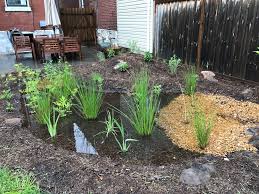 Every time it rains, water runs off impervious surfaces such as roofs even small gardens involve moving fairly large quantities of soil. Msd Rainscaping Small Grants Pretty City Gardens And Landscapes