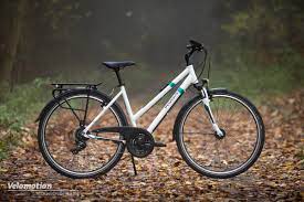 Auspreiser.de ist platz 1 bei den preisen laut dtgv studie 01/2019. Fur Hundert Euro Mehr Oder Weniger Pegasus Solero Sl 24 Im Test Velomotion