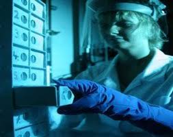 Studying cell cultures in a petri dish, while sometimes useful animals are appropriate research subjects because they are similar to human beings in many ways. German Collection Of Microorganisms And Cell Cultures Gmbh Human And Animal Cell Lines
