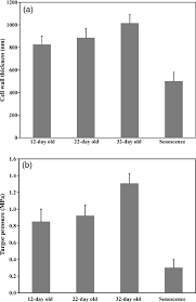 We did not find results for: In Vivo Extraction Of Arabidopsis Cell Turgor Pressure Using Nanoindentation In Conjunction With Finite Element Modeling Forouzesh 2013 The Plant Journal Wiley Online Library