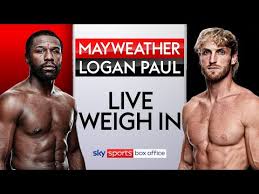 Floyd mayweather vs logan paul. Yqmwmkteqimf9m