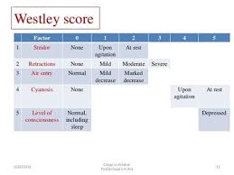 Image result for Croup Score