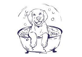 Dog Bath Vector Illustration Dog Bath Dog Sketch Illustration
