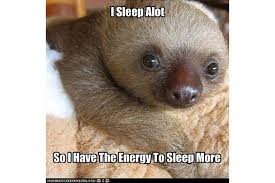 Maybe you would like to learn more about one of these? The 8 Best Sloth Memes