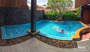 Biasanya binatang yang satu ini disimpan di dalam aquarium kaca atau di dalam kolam yang terletak. 11 Ide Desain Kolam Renang Minimalis Untuk Halaman Kecil