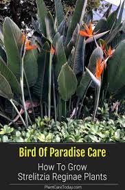 Pin On Pct Landscaping Ideas