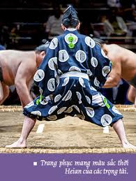 Image result for trang phục sumo