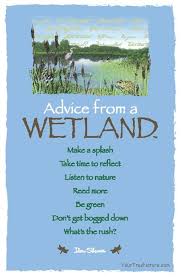 Advice From A Wetland Advice Quotes Nature Quotes Words