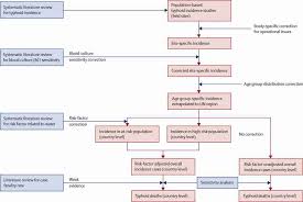 Flowchart Of Typhoid Disease Burden Estimation Download