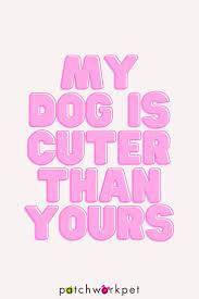 My Dog Is Cuter Than Yours In 2021 Dog Mom Quotes Pet Lovers Quotes Dog Quotes Funny