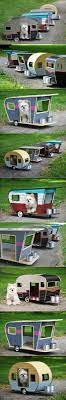 17 Best Images About Dogs On Pinterest Yorkie Pug And I Want
