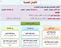 أنواع الجمل في اللغة العربية