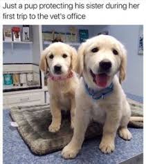 Funny Animal Pictures Of The Day 22 Pics Daily Lol Pics Cute Animals Funny Animals Funny Animal Pictures