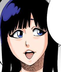 The show has a fairly heavy fan service element to it, as a lot of the women characters have very big boobs. Giselle Gewelle Bleach Wiki Fandom