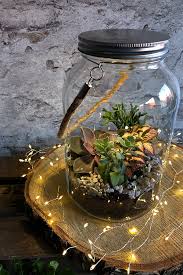 Diy Flaschengarten Anlegen In 2020 Flaschengarten Sukkulenten Im Glas Garten