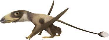 dimorphodon 雙型齒翼龍 reptiles