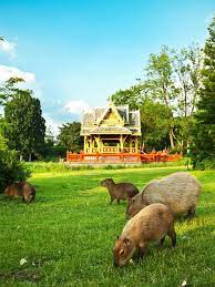 attractions in hagen germany hagenbeck zoo tierpak hagenbeck hagenbeck zoo tierpak hagenbeck cultural attractions family attraction central europe