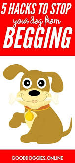 5 Effective Tips On How To Stop Your Dog Begging For Food Dog Training Tips Aggressive Dog Training Your Dog