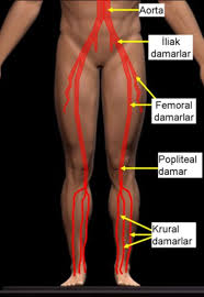 Bacak Damari Tikanikliklari