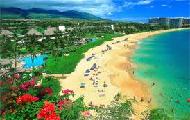 Malihini (newcomers) to the islands are generally not taken very seriously in their first year because a lot of them move back to the mainland. Moving To Hawaii Guide Living Costs Moving Companies