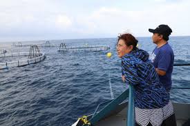 Menteri Susi Tinjau Program Prioritas Kkp Di Pangandaran Perbenihan Djpb Direktorat Jenderal Perikanan Budidaya