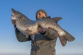 Silver Linings Saturday