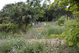 Botanischer Garten Dusseldorf